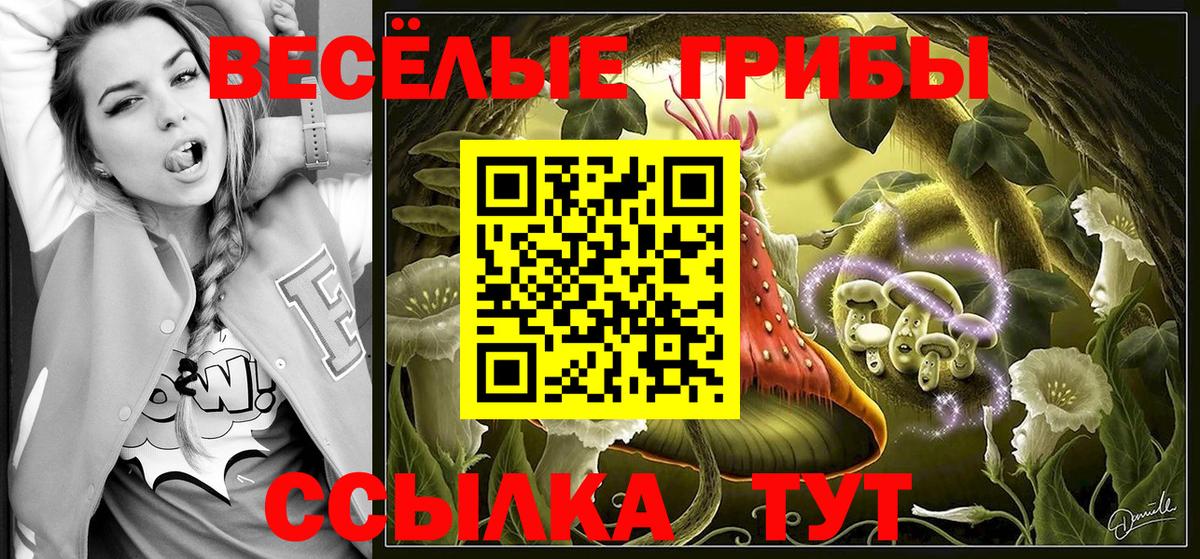 Сыктывкар  Галлюциногенные грибы Magic Shrooms  Вход с VPN 